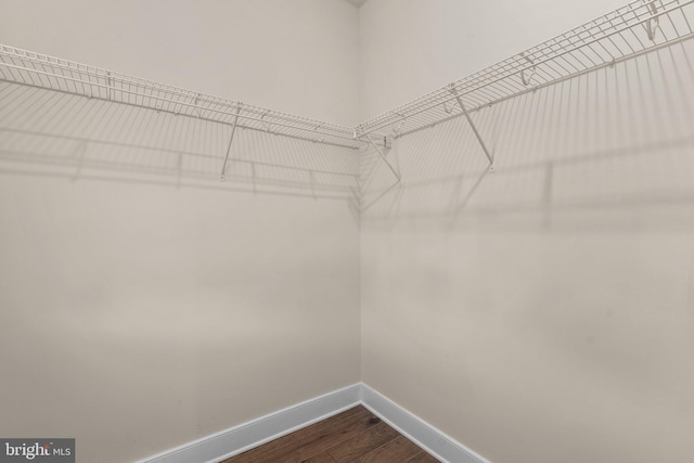 walk in closet featuring hardwood / wood-style flooring