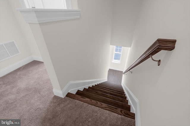 stairs with carpet flooring