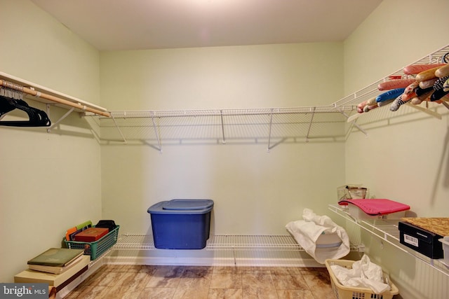 walk in closet with wood-type flooring