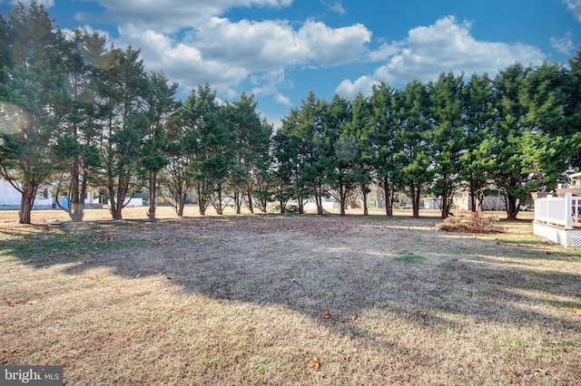 view of yard with a rural view