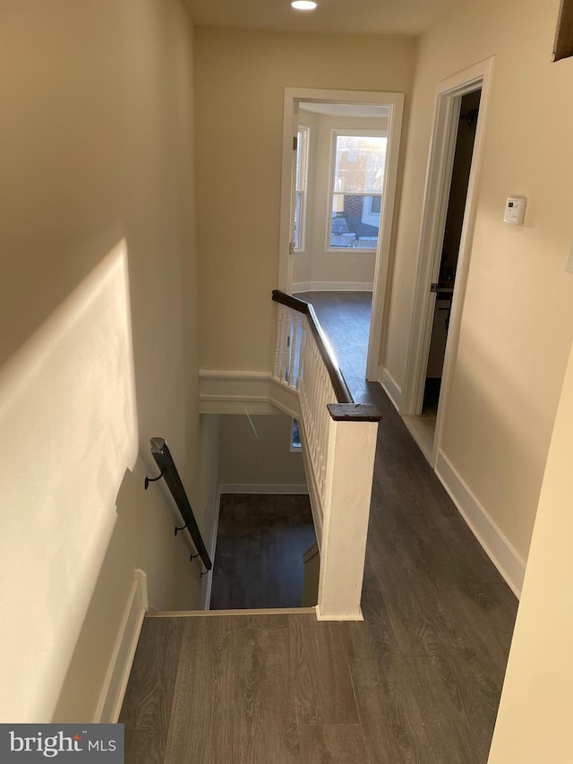 stairway featuring wood-type flooring