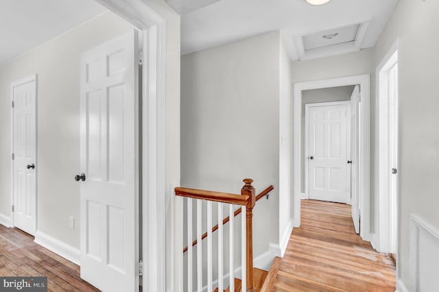 corridor featuring light hardwood / wood-style flooring