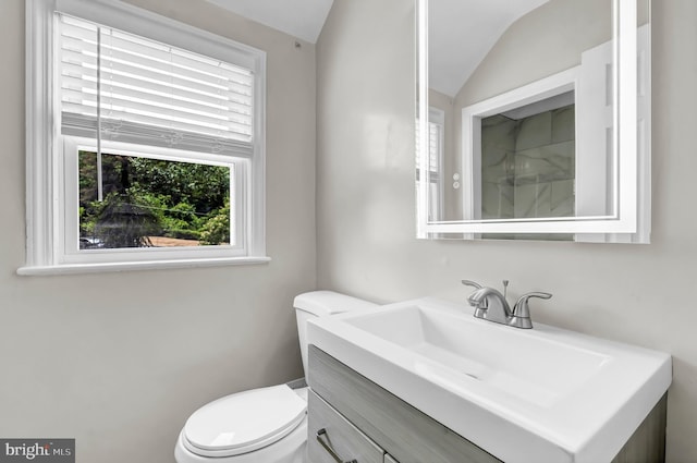 bathroom with vanity, toilet, and lofted ceiling