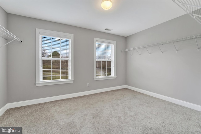 spacious closet featuring carpet