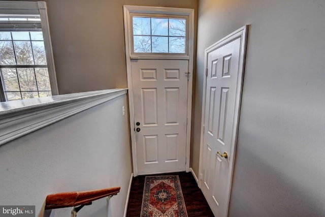 doorway with plenty of natural light and dark wood-type flooring