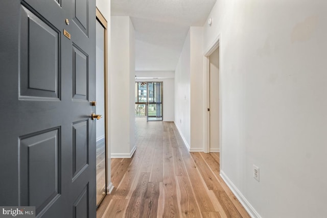 hallway featuring baseboards and light wood-style floors