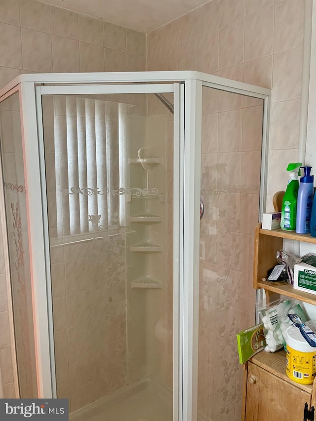 bathroom featuring a shower with shower door