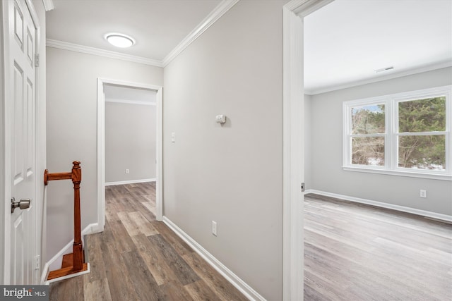 corridor featuring hardwood / wood-style floors and crown molding