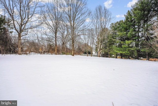 view of snowy yard