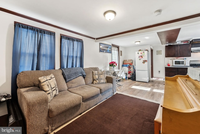 living area featuring light wood-type flooring and crown molding