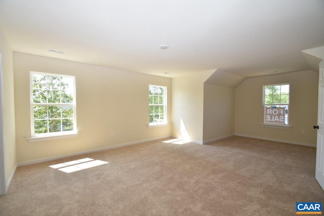 bonus room with light carpet and a healthy amount of sunlight