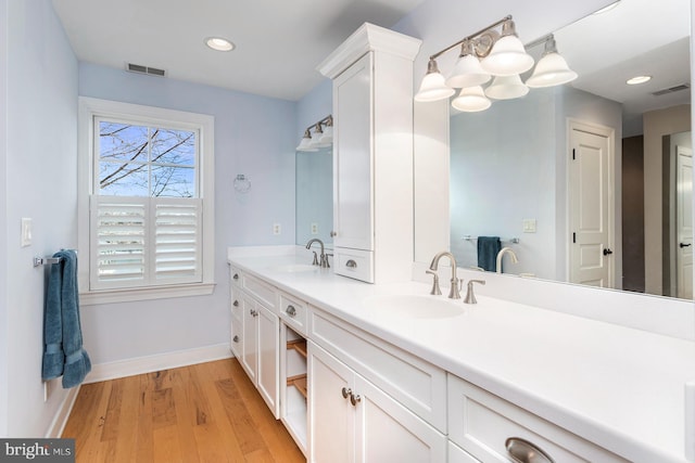 bathroom with hardwood / wood-style flooring and vanity