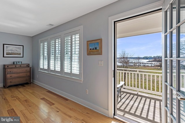 entryway featuring wood-type flooring