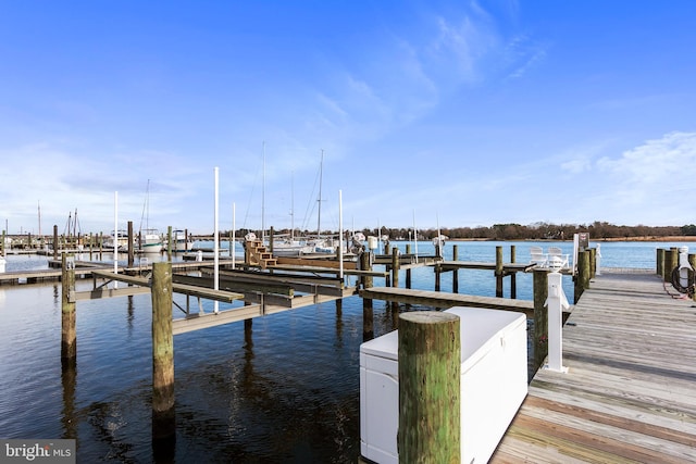 dock area with a water view