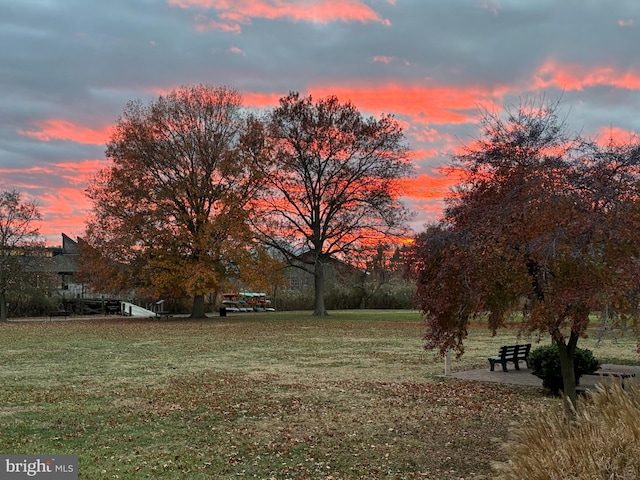 view of yard at dusk