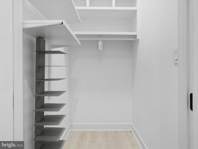 spacious closet with hardwood / wood-style floors