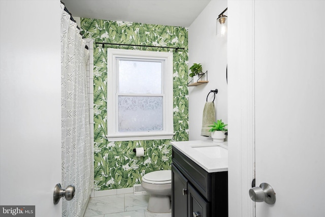 bathroom with vanity and toilet