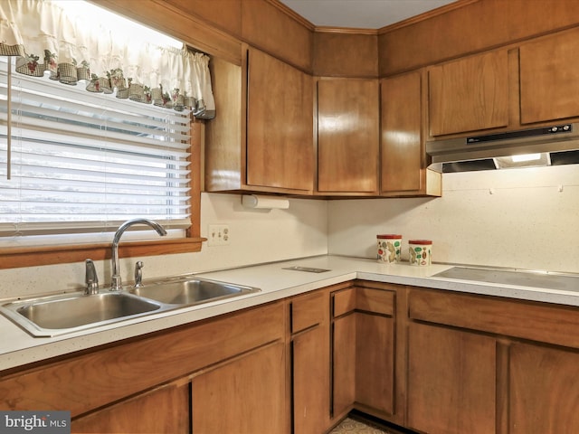 kitchen featuring cooktop and sink