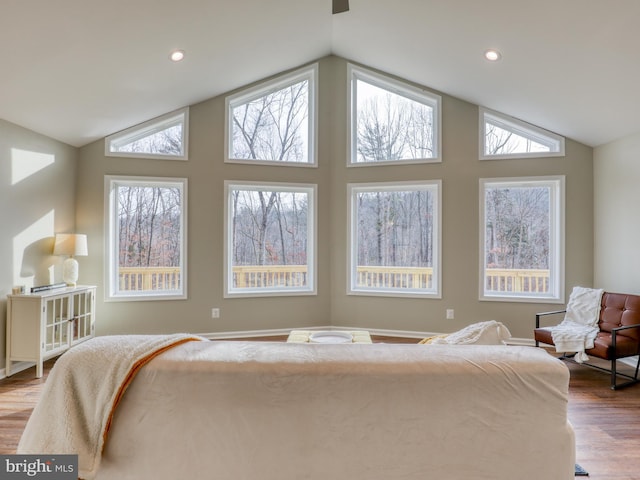 living room with light hardwood / wood-style floors and lofted ceiling