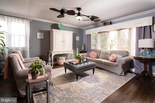 living room featuring crown molding, dark hardwood / wood-style flooring, and ceiling fan