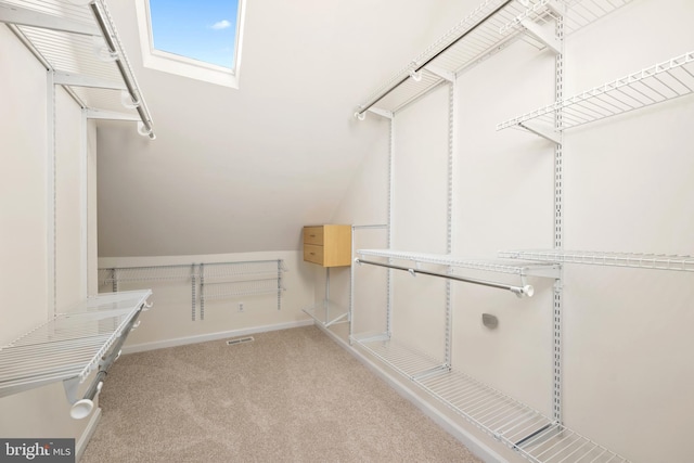 spacious closet featuring light carpet and a skylight