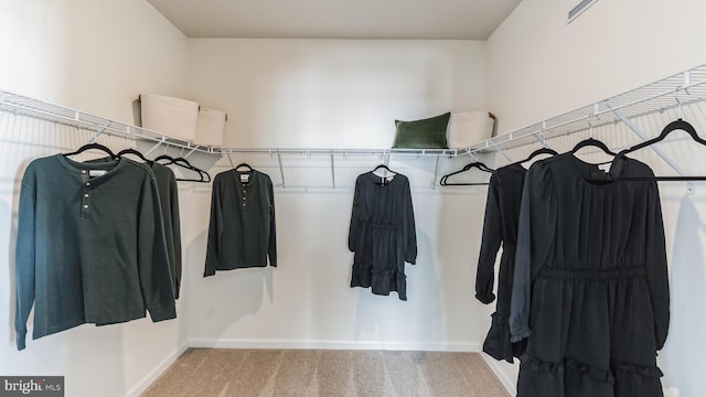 spacious closet featuring light carpet