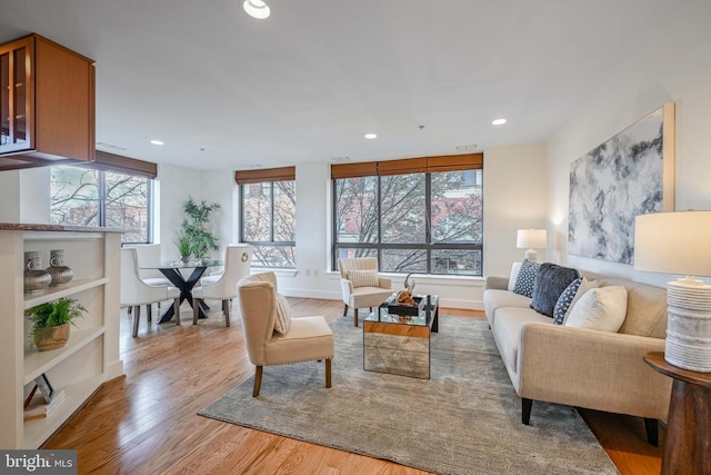 living room with light hardwood / wood-style flooring and a healthy amount of sunlight