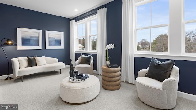 sitting room with carpet flooring