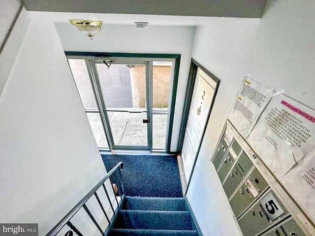 interior space with carpet floors