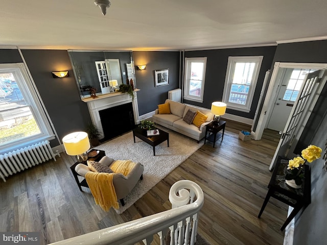 living room featuring a wealth of natural light, dark wood-type flooring, and radiator