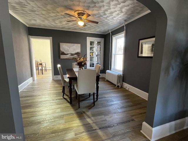 dining space featuring hardwood / wood-style floors, ceiling fan, crown molding, and radiator