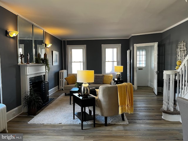 living room featuring crown molding, radiator heating unit, and hardwood / wood-style flooring