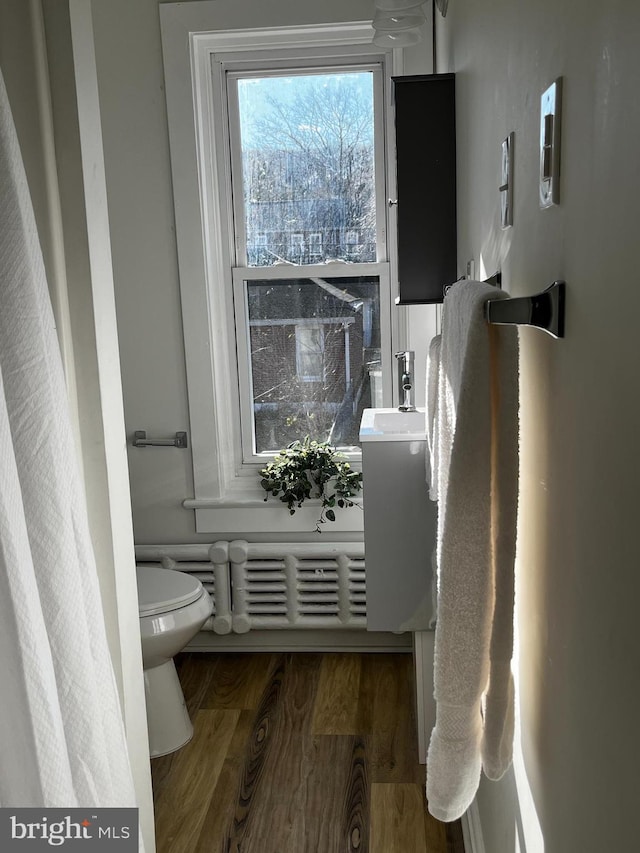 bathroom featuring hardwood / wood-style floors, vanity, and toilet