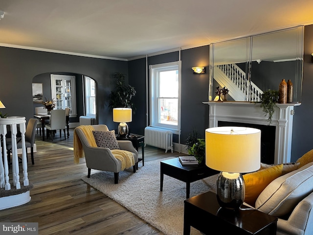 living room featuring radiator heating unit, crown molding, and wood-type flooring