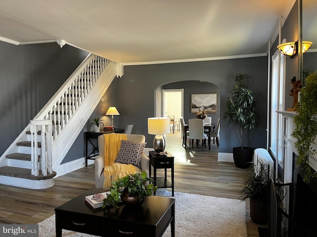 living room featuring hardwood / wood-style flooring and ornamental molding