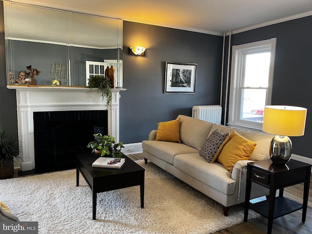 living room with radiator heating unit, crown molding, and hardwood / wood-style floors