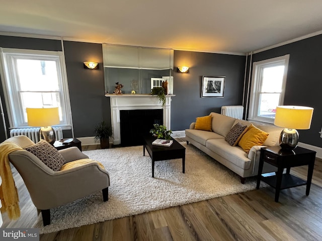 living room featuring radiator heating unit, plenty of natural light, ornamental molding, and wood-type flooring