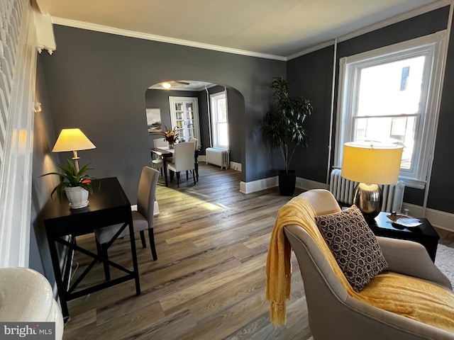 living area with radiator heating unit, ornamental molding, and hardwood / wood-style flooring