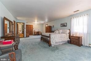 220 Robinson Rd, Salem, NJ 08079 - bedroom with carpet floors
