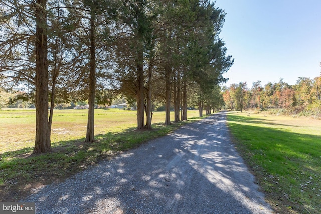 220 Robinson Rd, Salem, NJ 08079 - view of dirt / gravel road
