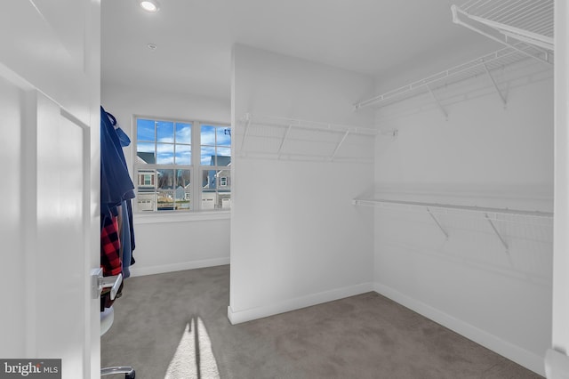 walk in closet featuring carpet floors