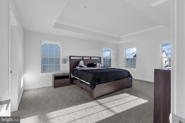 carpeted bedroom featuring a raised ceiling