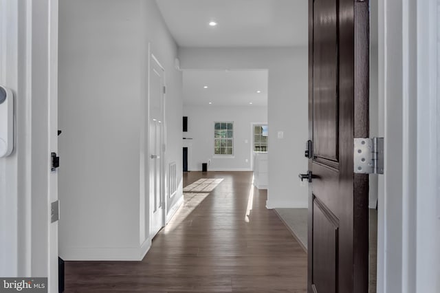 foyer with dark wood-type flooring