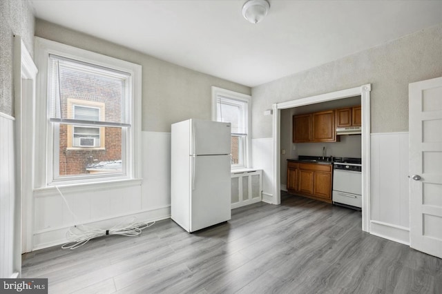 kitchen featuring sink, light hardwood / wood-style floors, and white appliances