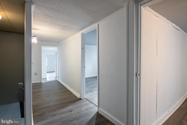 hall with dark wood-type flooring and ornamental molding