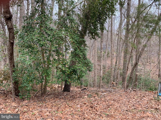 0 Eisenhower, King George VA, 22485 land for sale