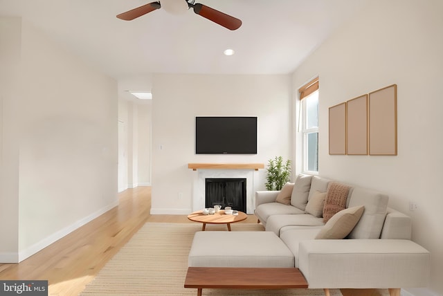 living room featuring ceiling fan and light wood-type flooring