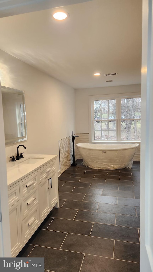 bathroom with vanity and a bathing tub