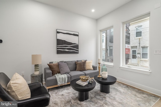 living room with hardwood / wood-style floors