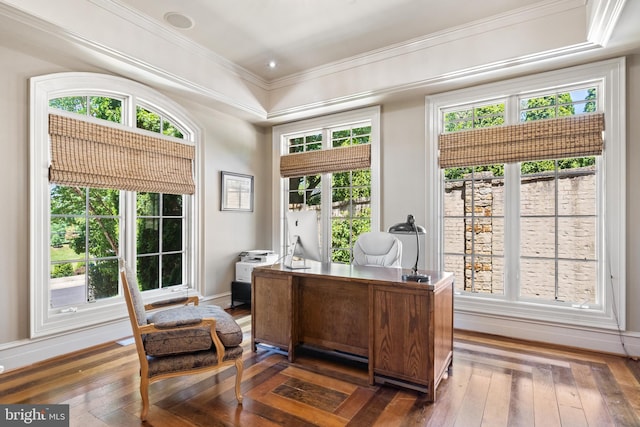 office area with ornamental molding and dark hardwood / wood-style flooring